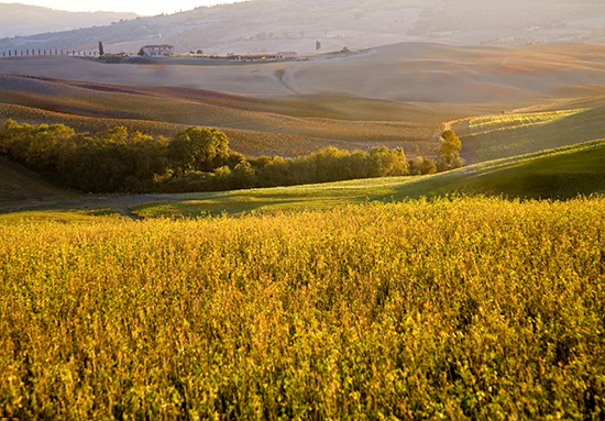 Evening Light Tuscany photograph by John Hulsey